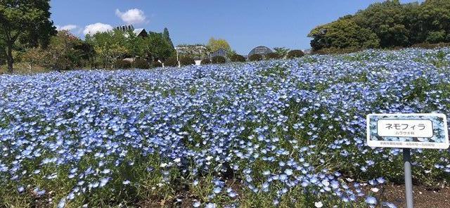 ゴールデンウィークのお知らせ